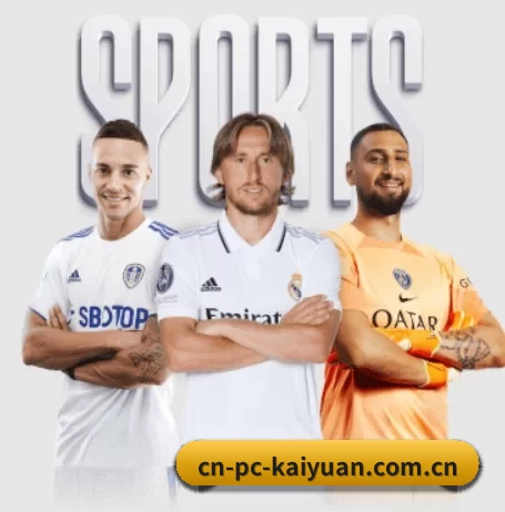 cn-pc-kaiyuan.com.cn的故事